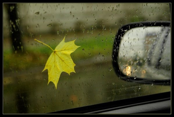 Ольга Позднякова | Енакиево