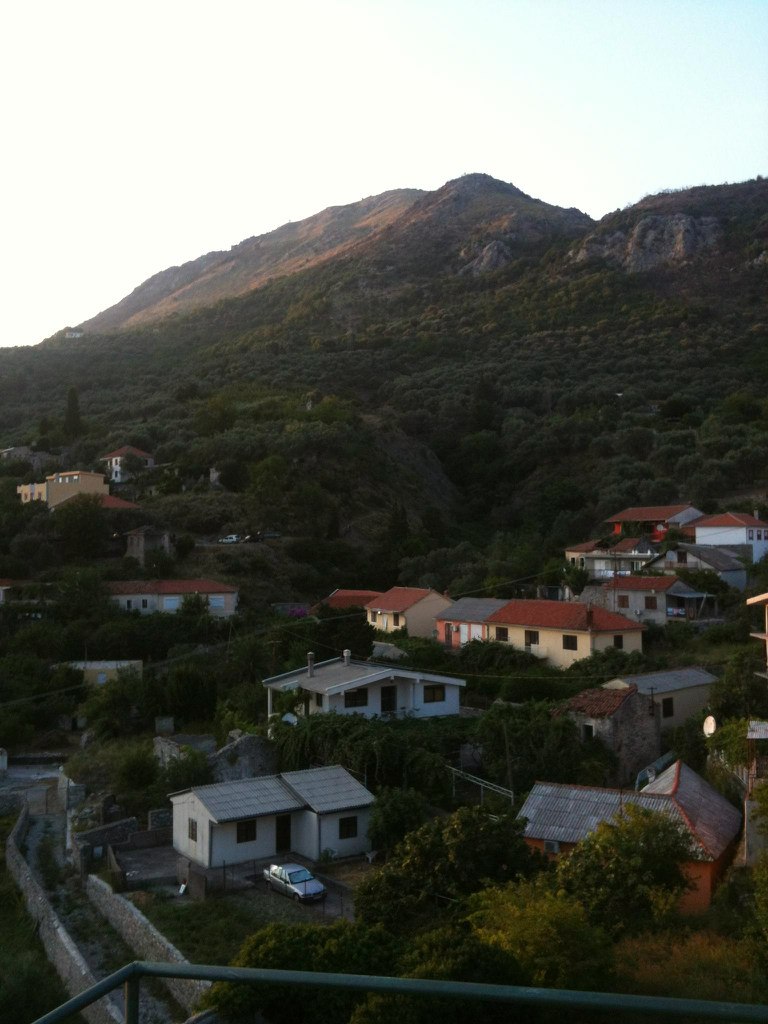 Роман Алёшкин | Ногинск