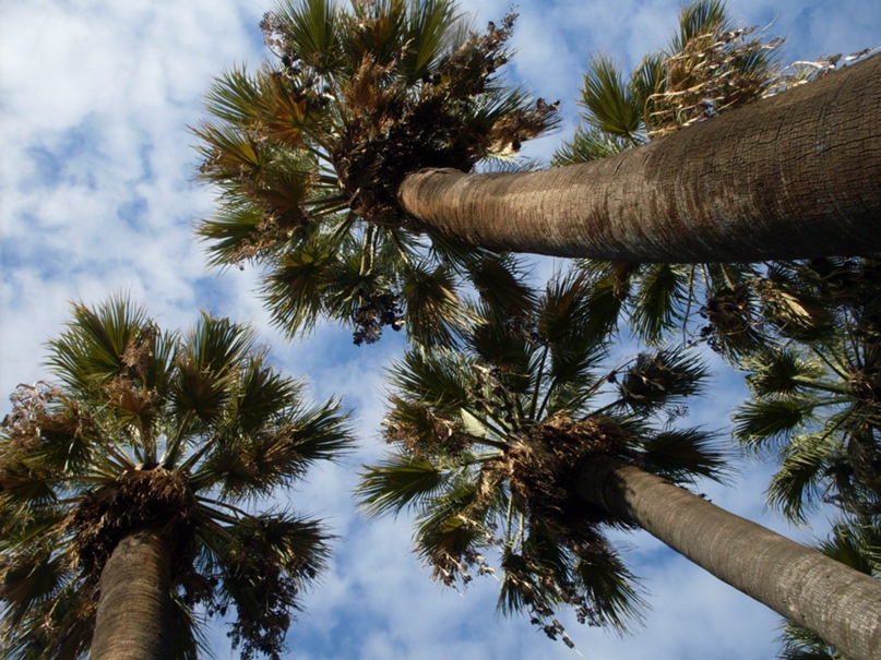 Татьяна Рубцова | Санкт-Петербург