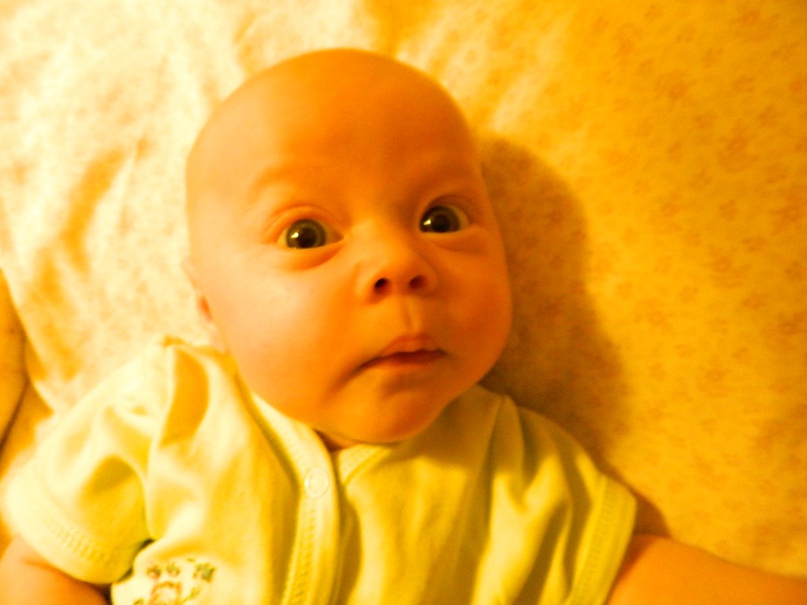 Макс Новиков | Екатеринбург