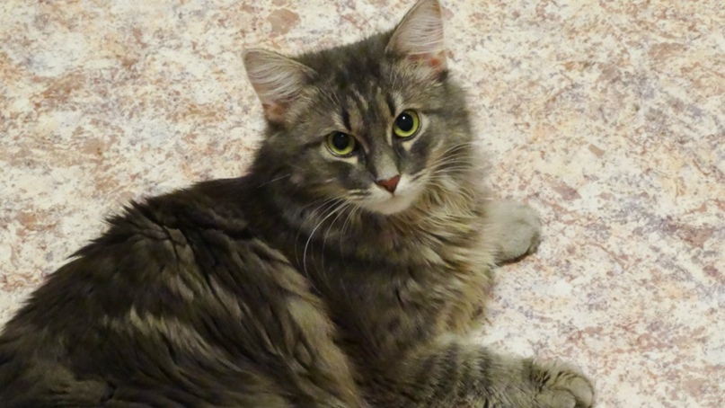 Екатерина Сулейманова | Санкт-Петербург