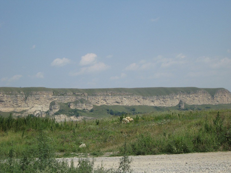 Антон Баринов | Санкт-Петербург