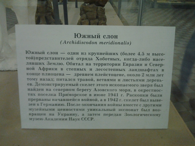 Юлия Кричфалуший | Санкт-Петербург