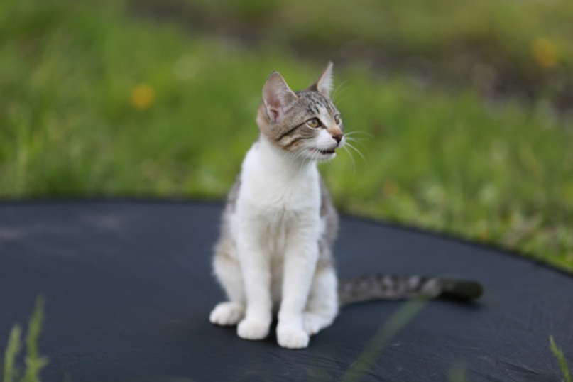 Татьяна Малышева | Пенза