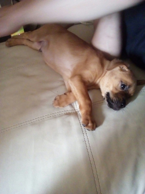 Руслан Закиров РуС | Санкт-Петербург