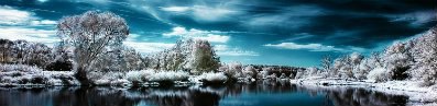 Светлана Николаевна Николаевна | Пружаны