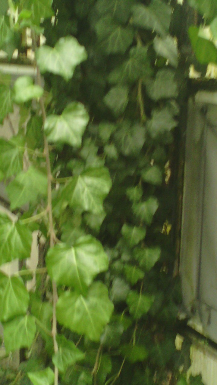 Анастасия Воробьёва | Иркутск