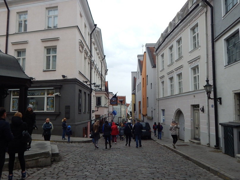 Юлия Никитина | Санкт-Петербург