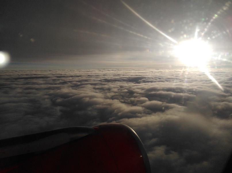 Алина Алимова | Санкт-Петербург