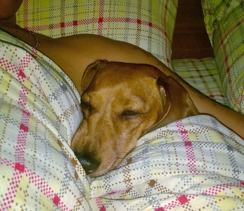 Владимир Гладков | Санкт-Петербург