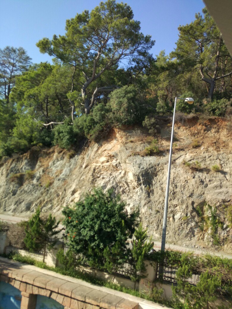 Марина Протасова | Санкт-Петербург