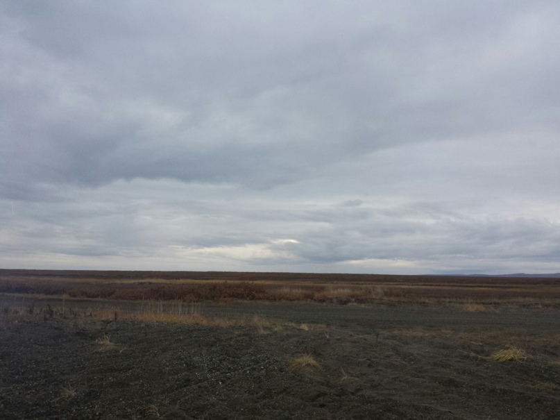 Марина Лескина | Анадырь