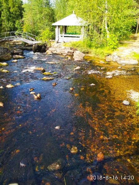 Владимир Никонов | Пяозерский