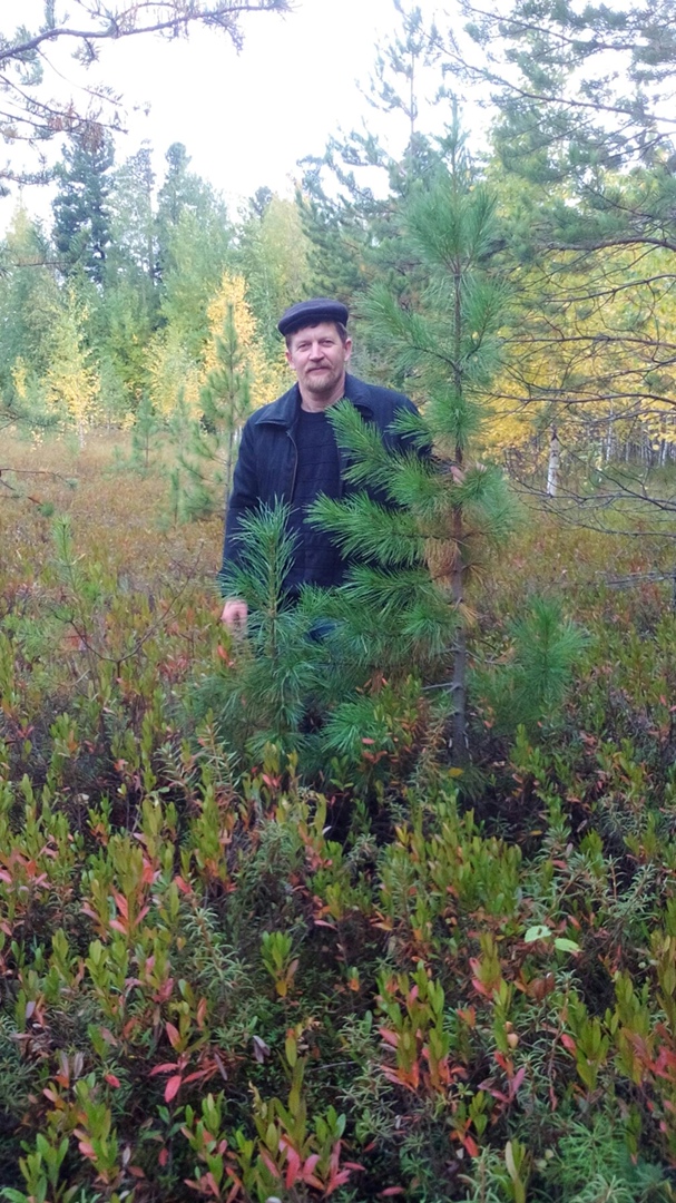 Александр Васильченко AVASKO | Нижневартовск