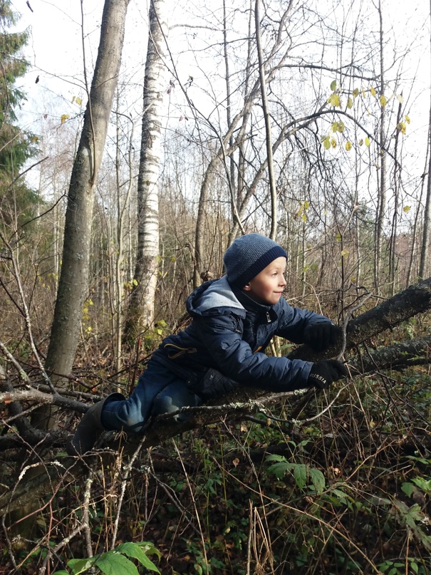 Юлия Константинова | Пошехонье