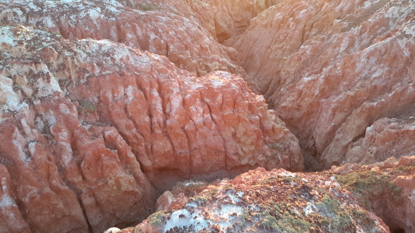 Матильда Карандашова | Санкт-Петербург