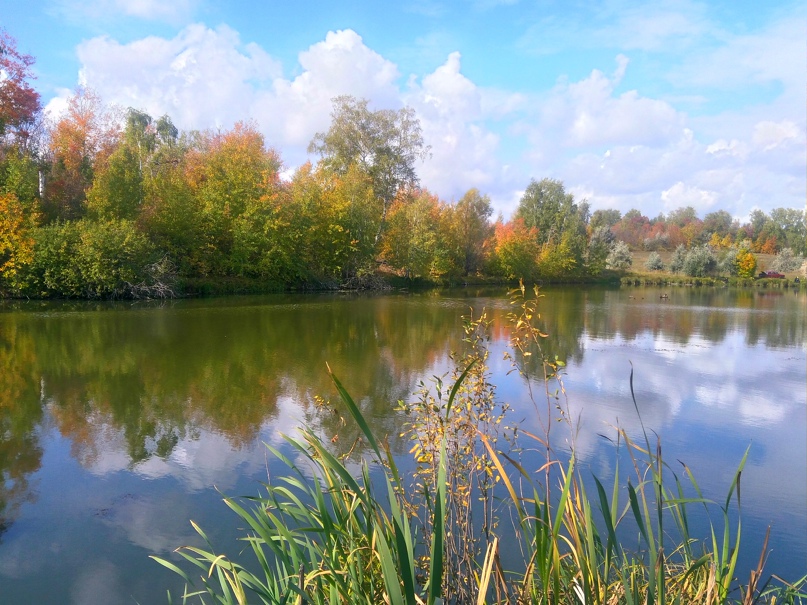 Елена Обрубова |