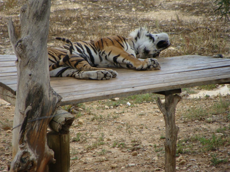Юлия Романенко | Калининград