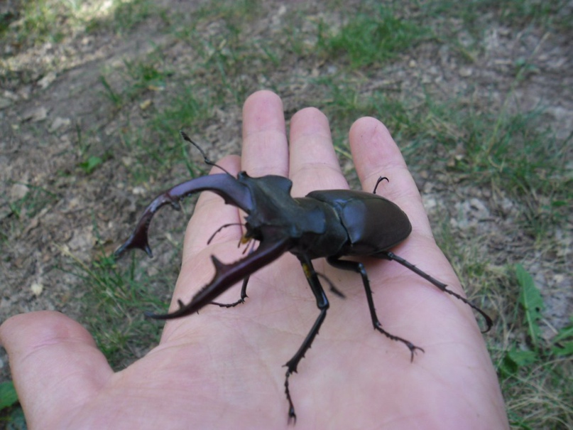 Алексей Степанов | Харьков