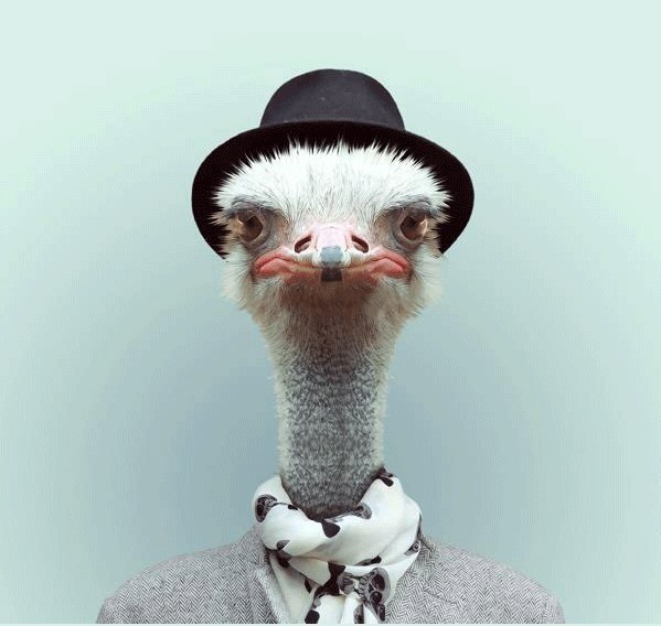 Олег Свинцицкий | Ярцево