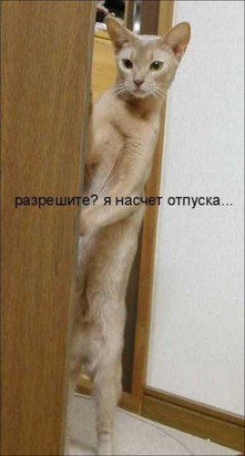 Надежда Румянцева | Вышний Волочек