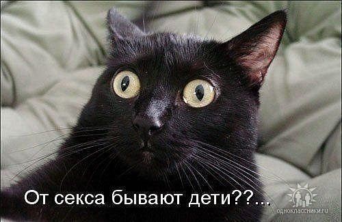 Юлия Ткаченко | Кривой Рог
