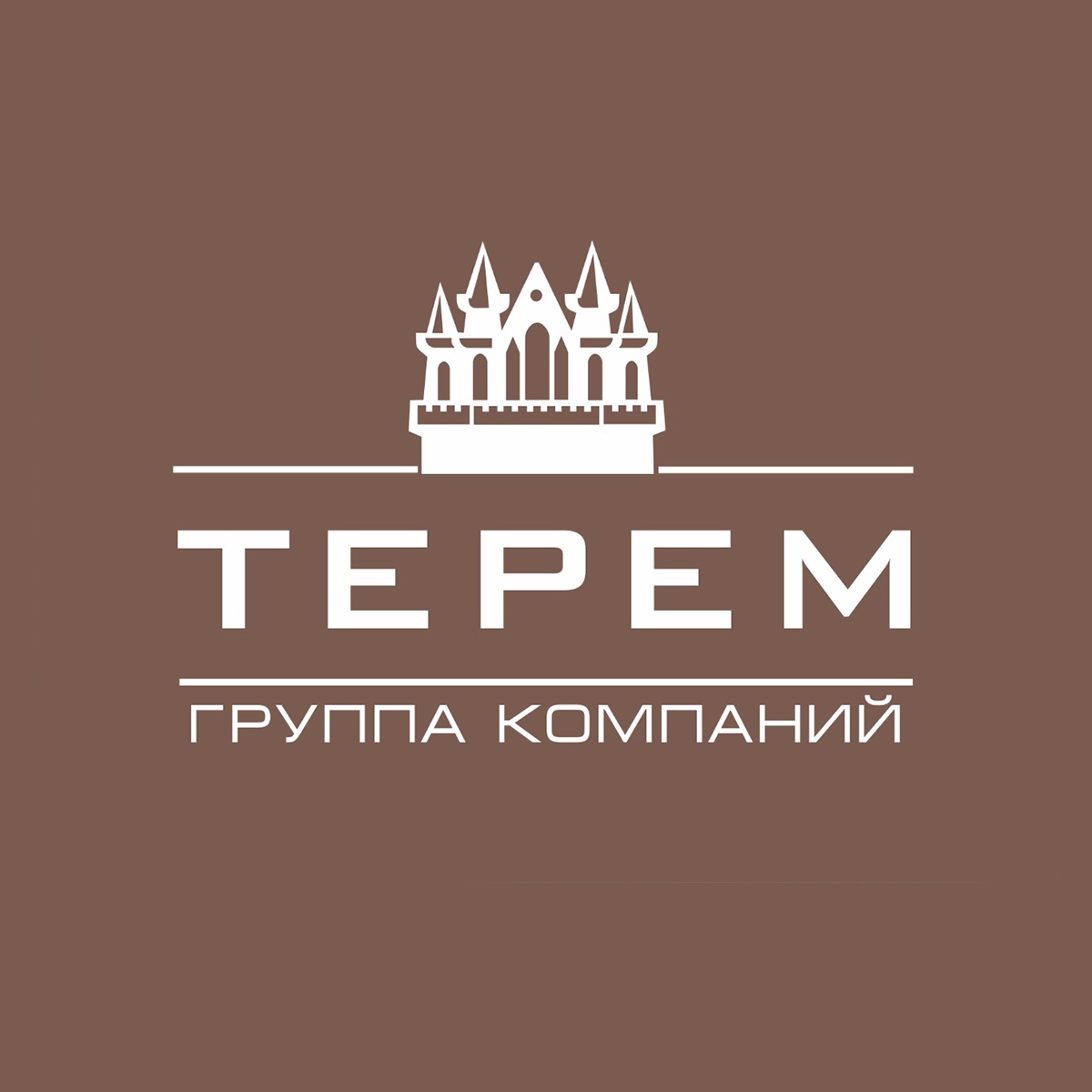 фирма терем москва