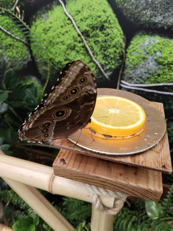 Екатерина Глущенко | Санкт-Петербург