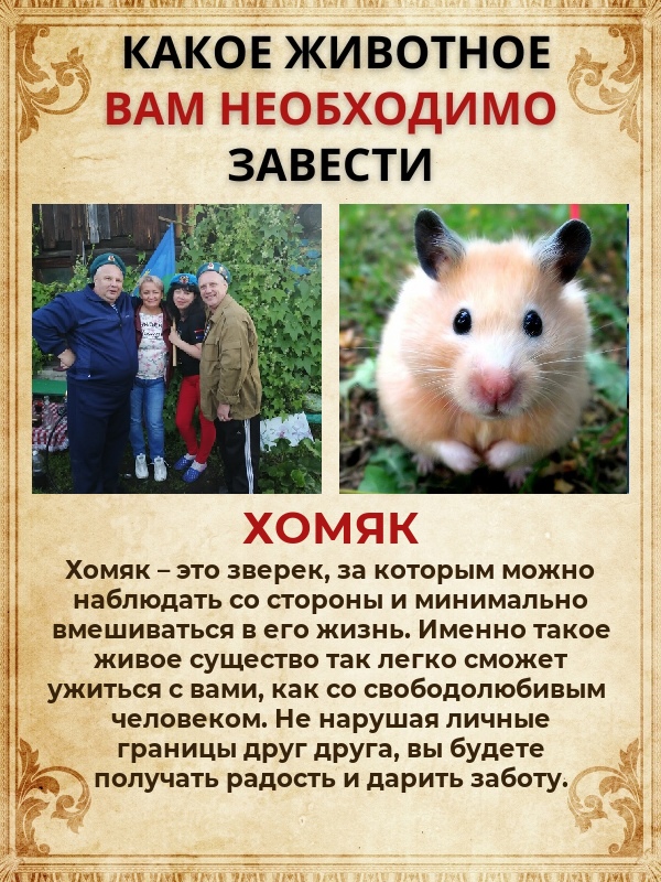 Вадим Наумов | Кыштым