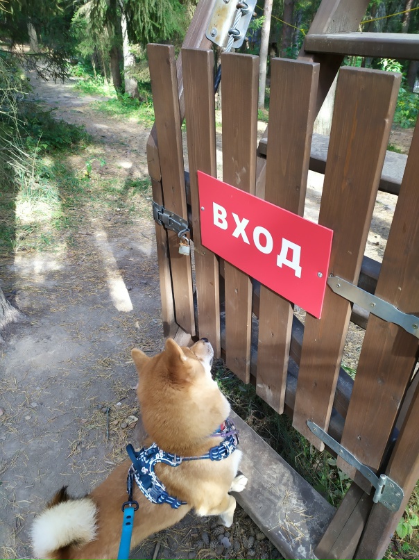 Светлана Курапова |