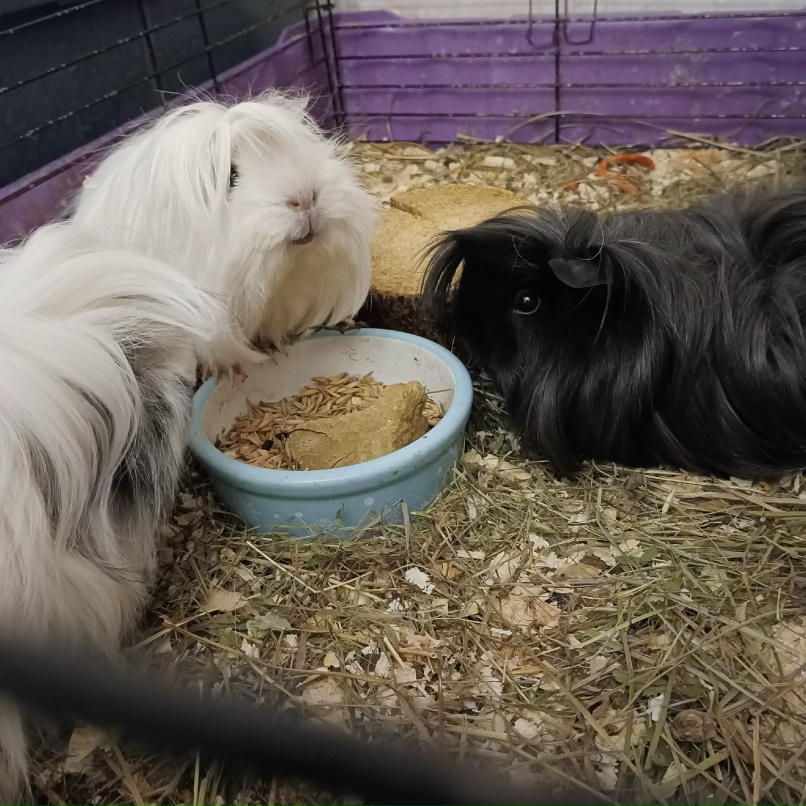 Наталья Окишева | Киров