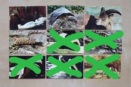 Светлана Булычева | Москва