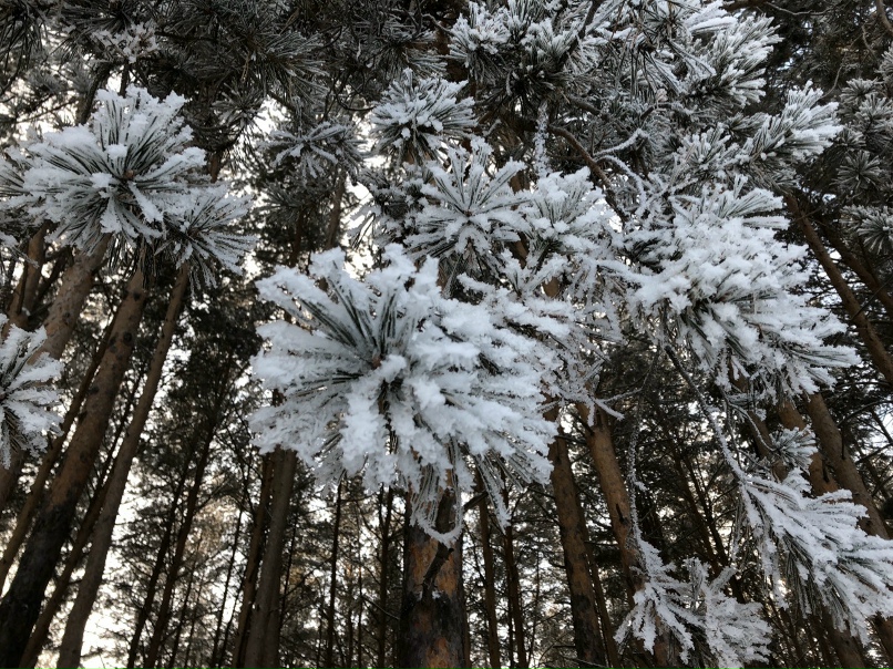 Константин Постовалов | Екатеринбург