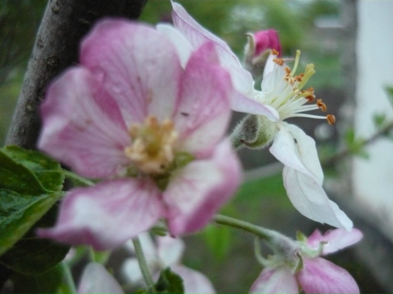 Сергей Можаев | Новосибирск