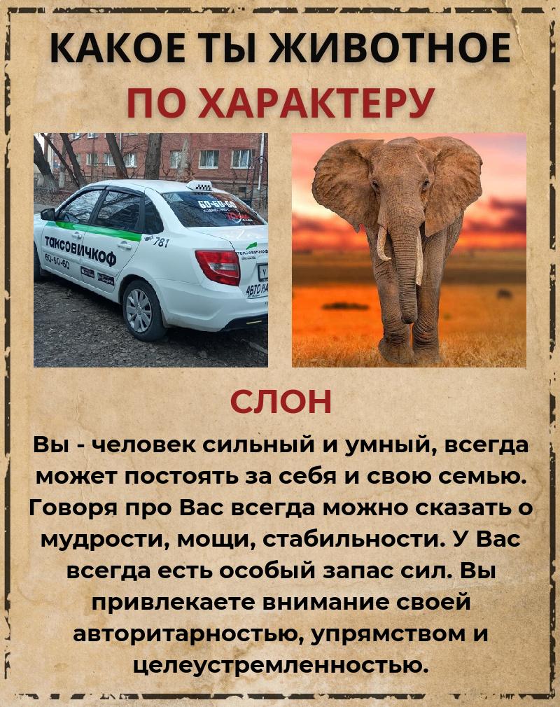 Илья Кошкин | Омск