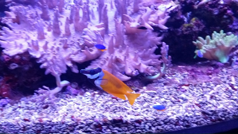 Константин Савельев | Москва