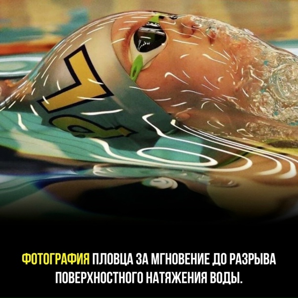 Удивительный кадр