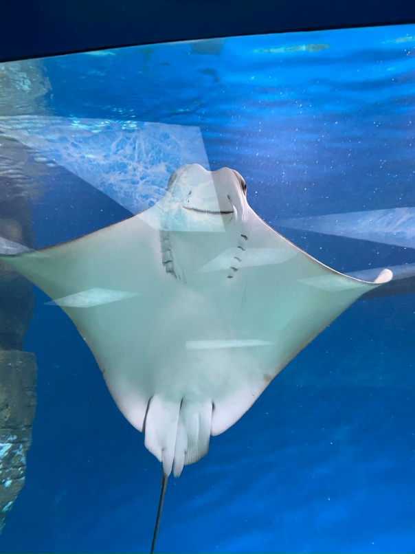 Андрюха Кузнецов | Москва