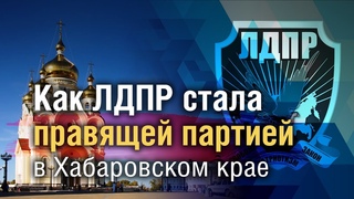 Как ЛДПР стала правящей партией в Хабаровском крае