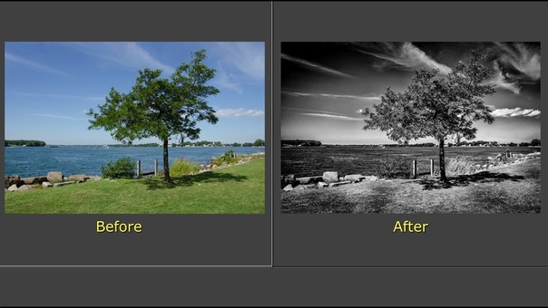 Processing a Photo With Nic Silver Efex Pro 2 Lightroom ( Training Tutorial)