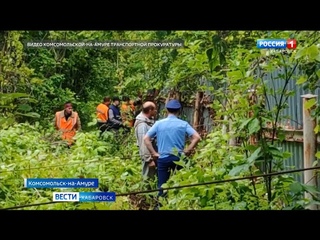 Усилить меры безопасности из-за медведицы с медвежонком вынуждены в детском лагере под Комсомольском