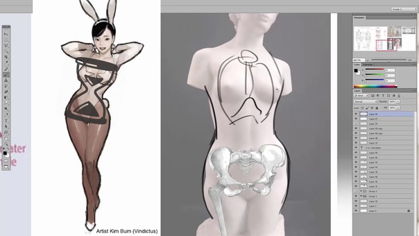Artist Anatomy Male vs Female