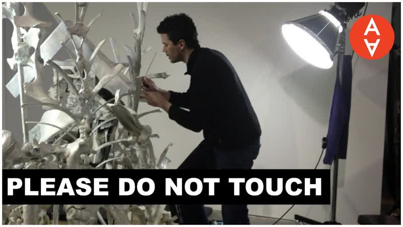 Please Do Not