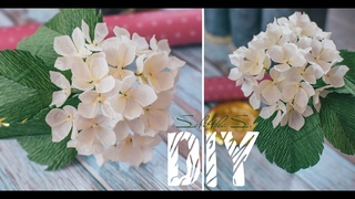 DIY soli4ka_s Гортензія з гофропаперу/ гортензия с гофробумаги/ crepe paper hydrangea