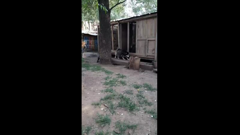 20200823_163342.mp4