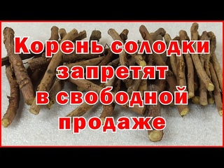 Корень солодки запретят в свободной продаже - Licorice root will be banned for free sale