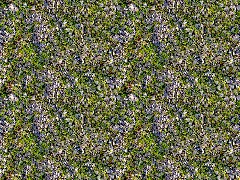 PBR Grass & Stone A04
