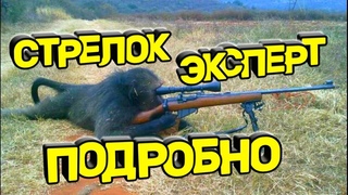 Стрелок-эксперт в гильдии: подробно про него | Archery Expert Heroes Era of chaos | DeadEvil