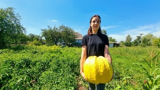 КАК ЖИВЕТ ДЕВУШКА В УКРАИНСКОМ СЕЛЕ. ПРИГОТОВЛЕНИЕ ТЫКВЫ НА ОБЕД