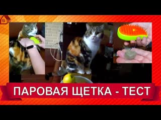 Избавляемся от шерсти! Паровая щетка для животных / Распаковка и тест/Cat Steamy Brush Review
